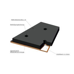 RMS-MP Module